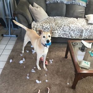 Meet your Posher, Jenn